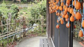 2025年11月5日　早月谷川周辺へ